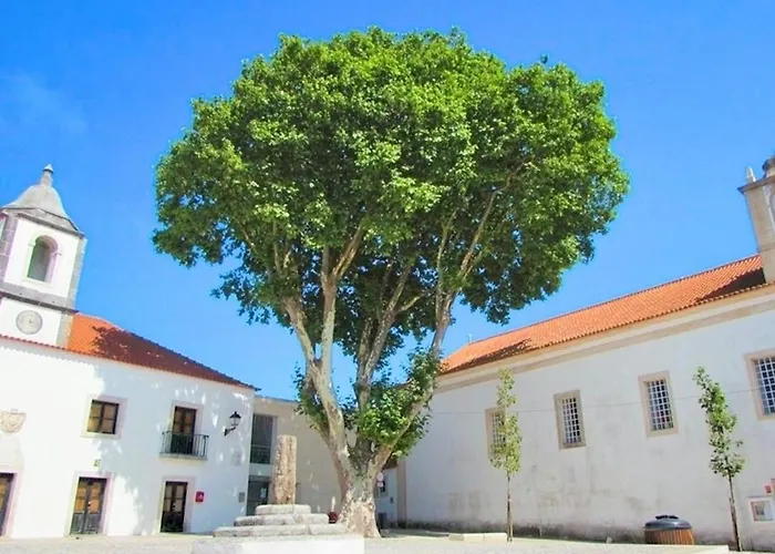 Duarte T2 - Com Vista Mar Vakantiehuis