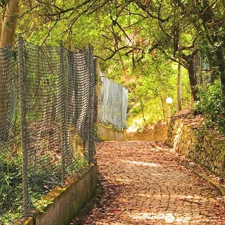 Duarte T2 - Com Vista Mar